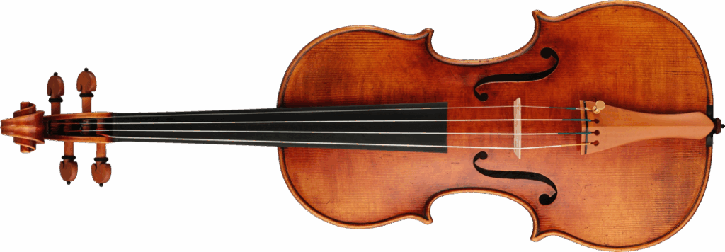 Different types of Violin